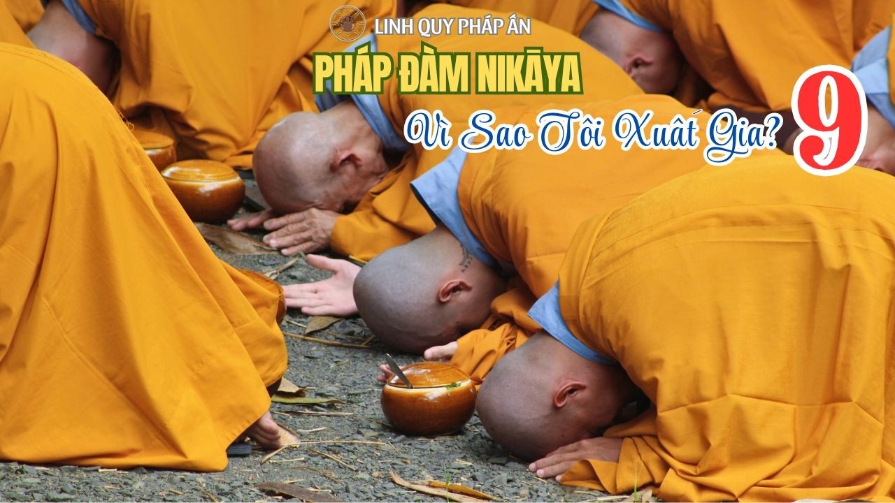 NIKAYA - Vì Sao Tôi Đi Xuất Gia 9 (26.2.2026)