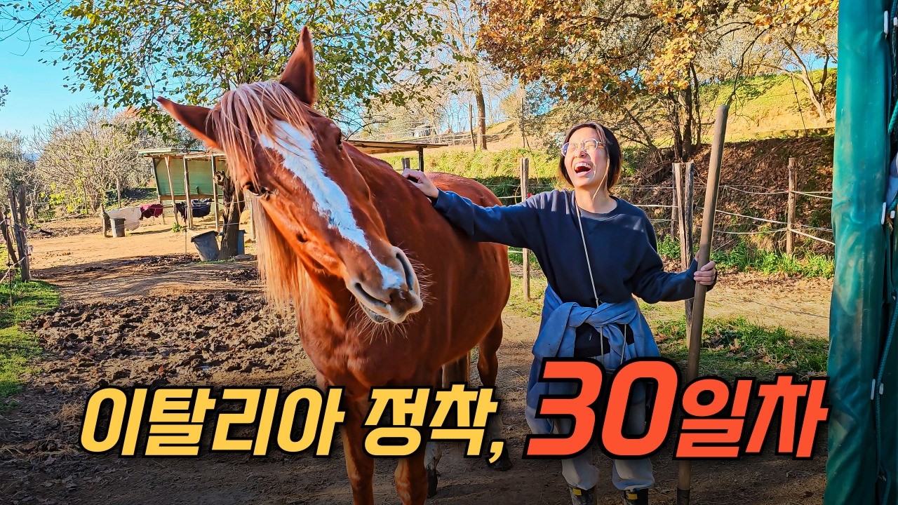 이탈리아에서 말 9마리와 함께 살고있는 한국인 이야기