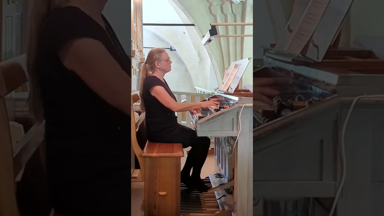 Isfält: Rid över skog. Ingrid Litborn, organ.