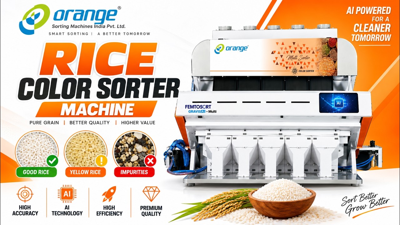 Rice Color Sorting Machine | High Precision Optical Rice Sorter
