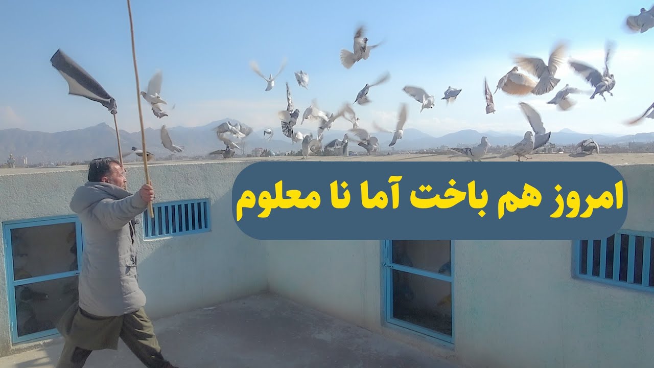 0427 /امروز هم باخت اما نا معلوم / Afghan Shawqi