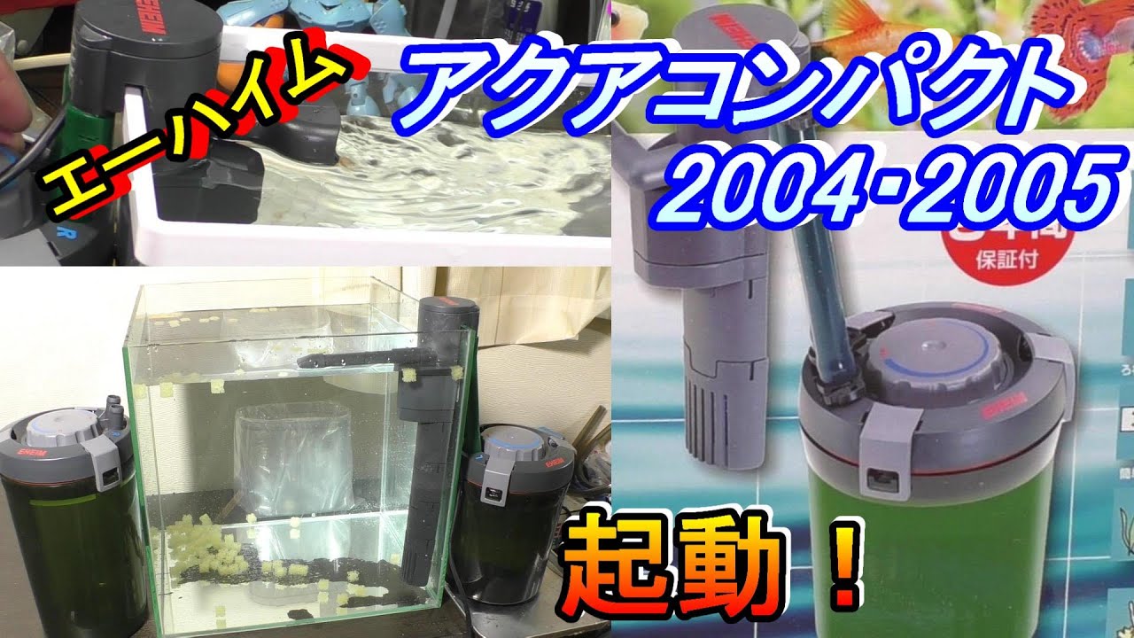 起動！エーハイム「アクアコンパクト2004」流量確認。お前の血は「緑色」なのか！！。