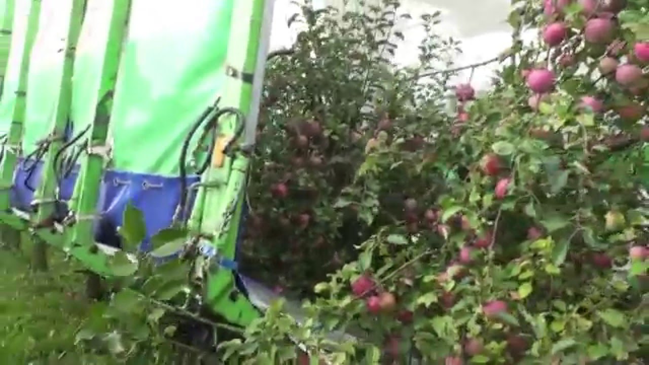 OE-4 Industrie-Fruit-Harvester (Apple, Pears, Sherry etc) continue driving and harvesting system