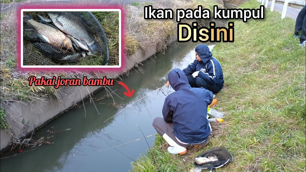 LOMBA MANCING DI SELOKAN JEPANG ALHASIL PANEN BANYAK || MICRO FISHING JAPAN