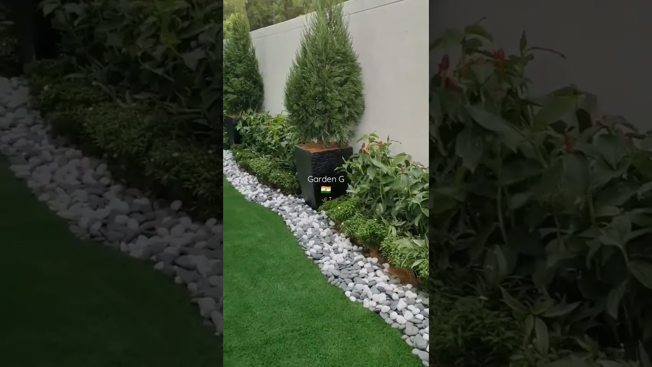 Lawn Garden Transformation By Garden G | Garden Makeover | Cyprus Plants | Stones Work | Chandni |