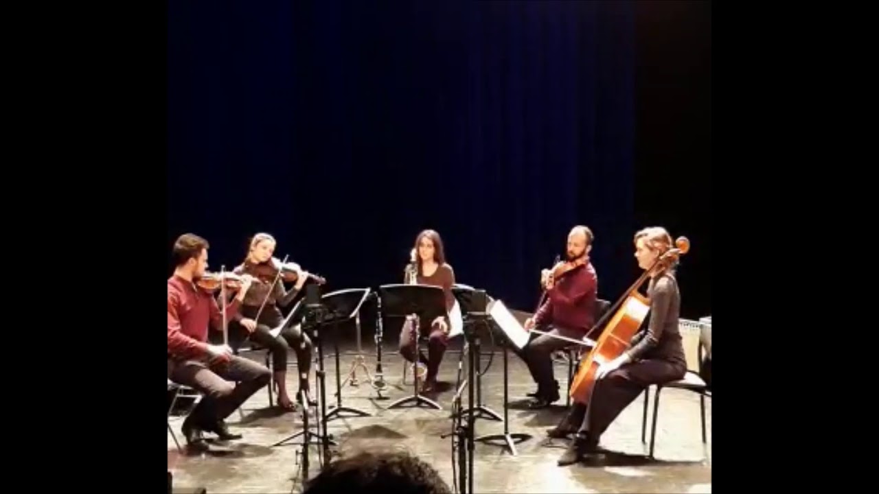 Catharina Clement - Impressions (2020) | Performed by: Clarinet Quintet Aquilon