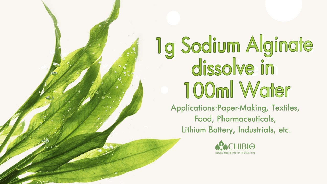 1g Sodium Alginate dissolve in 100ml Water-Chibio