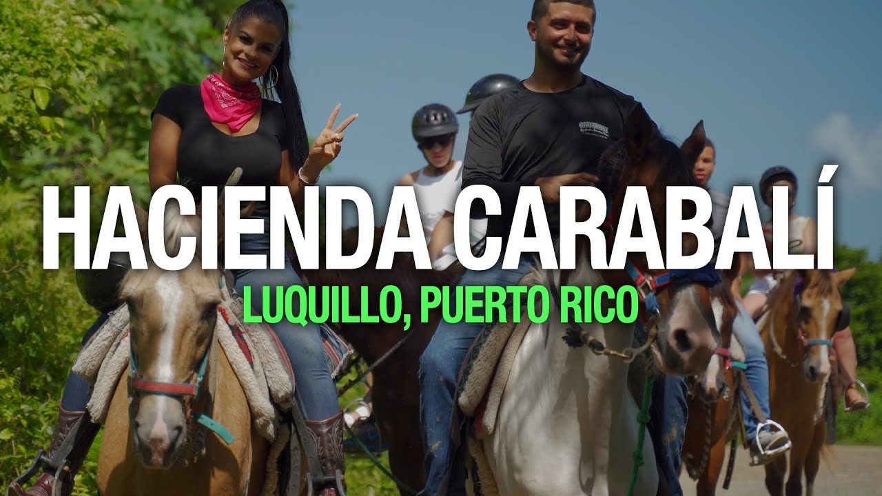 Hermosa monta a Caballos en Carabalí Rainforest Park, Luquillo, Puerto Rico (4K) Nos Vamos de Paseo