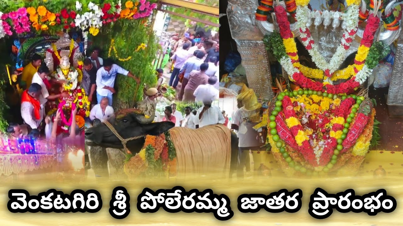 నేటి నుండి వెంకటగిరి జాతర ప్రారంభం