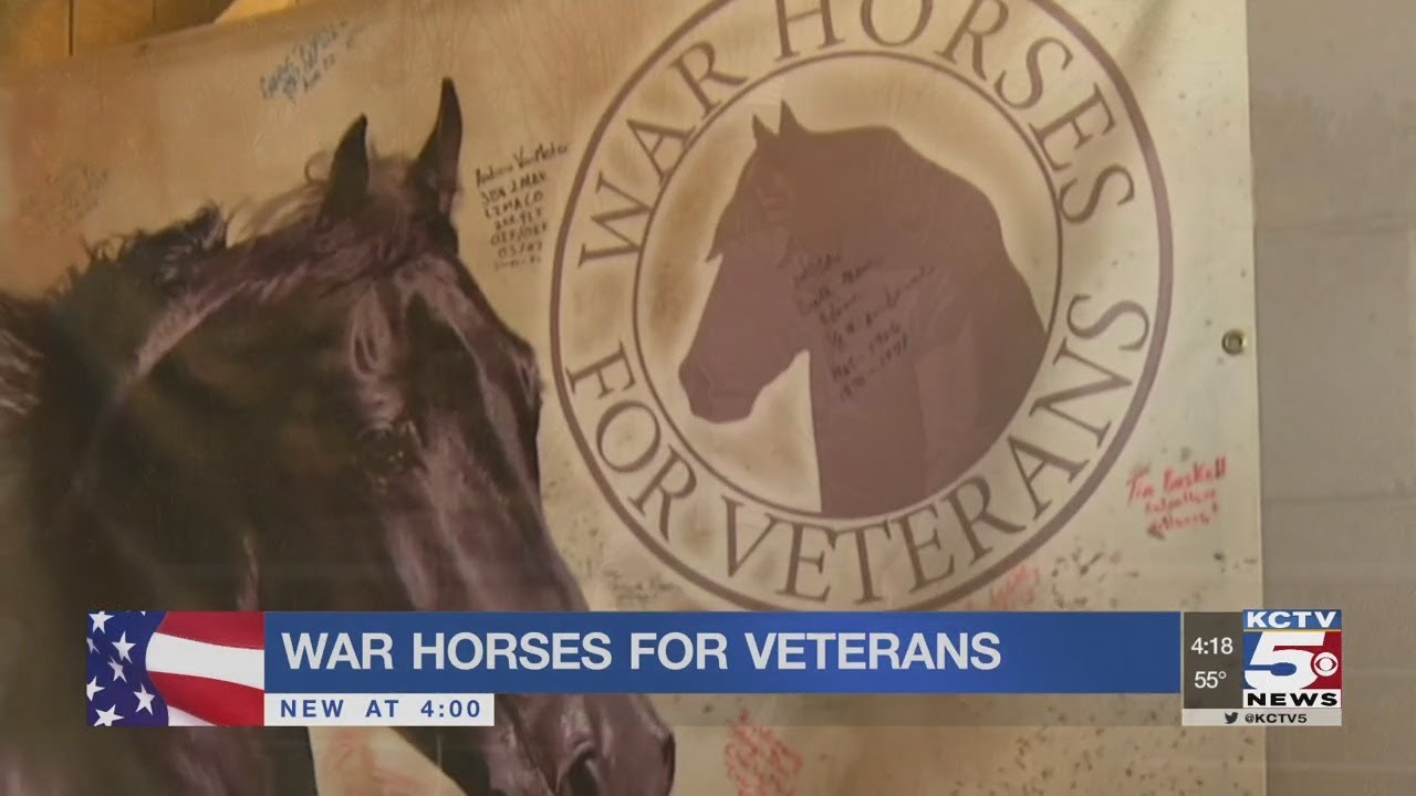 Veterans find help through horses