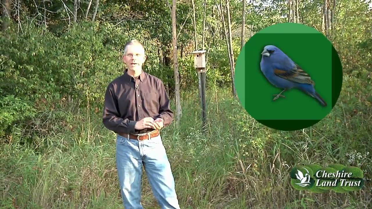 Cheshire Land Trust HD