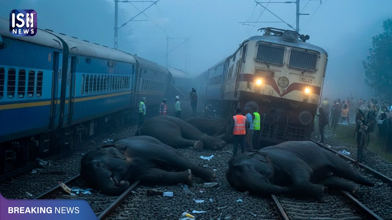 Train Hits Elephant Herd in Assam, 7–8 Elephants Killed | ISH News