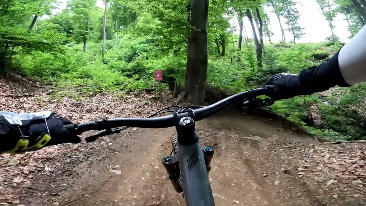 Maribor Bikepark resphaped 2025 | Maribor felújítva 2025 | blue line, stream line combo