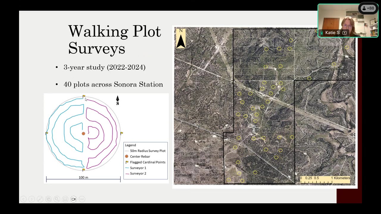 Wildlife Conservation Webinar Series | Habitat Preferences of the Plateau Spot tailed Earless Lizard