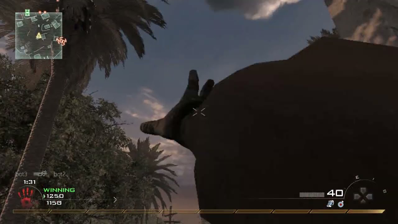 Classic MW2 bots PS3 #19