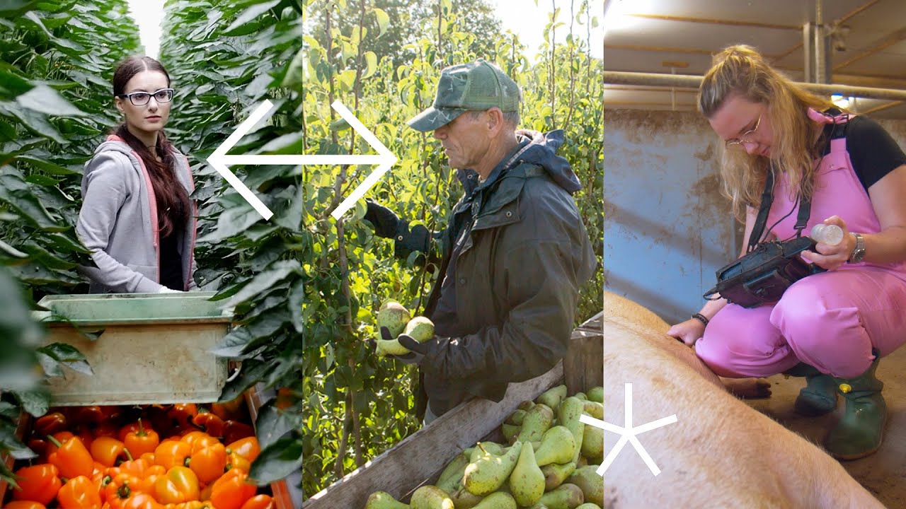 WELK UITZICHT KIES JIJ? | Werken in de land- en tuinbouw