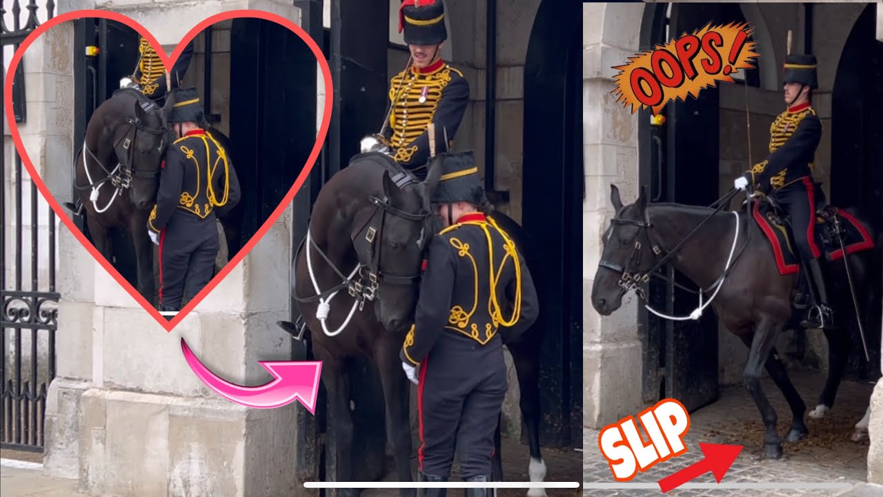King’s horse is SO EXCITED to see His Favourite  King’s Guard.