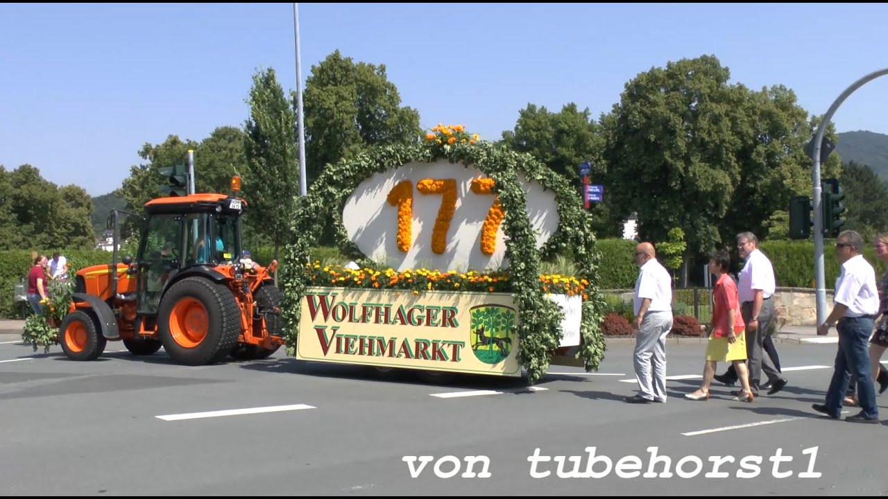 Viehmarktsumzug in Wolfhagen am 19.7.2014 von tubehorst1