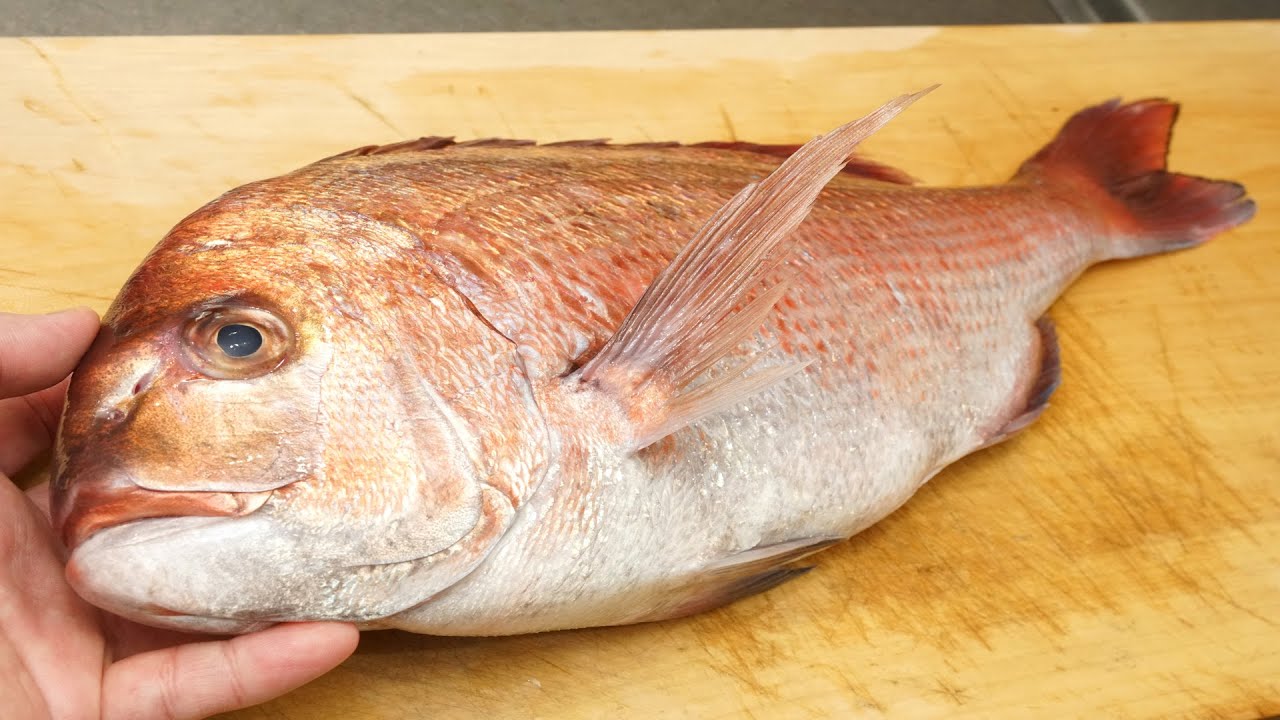 鯛のさばき方と昆布締めの作り方（３０分で美味しく食べられる方法）