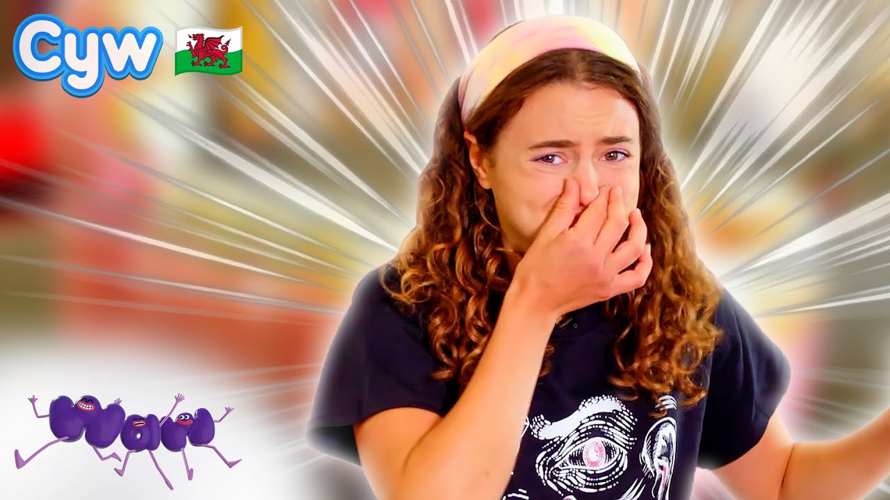 Waw! Y Synhwyrau - Techniquest | Welsh Science for Kids 🏴󠁧󠁢󠁷󠁬󠁳󠁿
