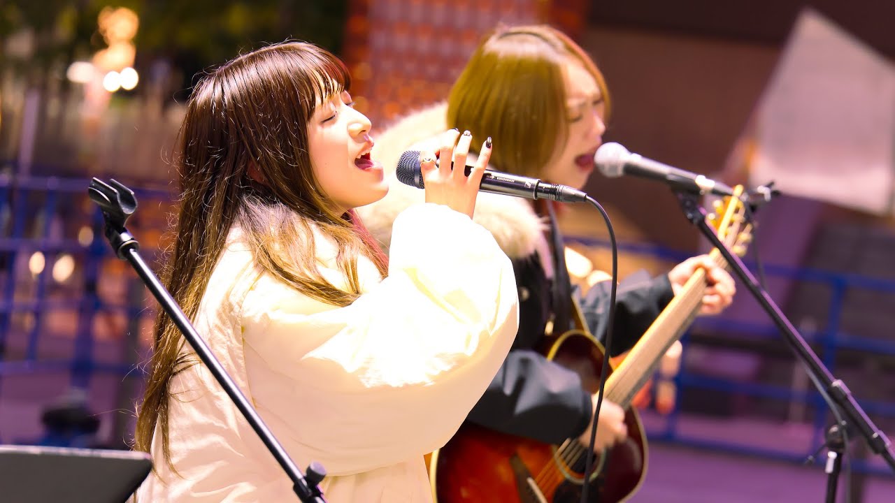 ながいまばたき〜ねがいごと / ほのん＆季楽 (honon w/ kirara) Kabukicho Street Live+＠歌舞伎町シネシティ広場(2026.1.19)