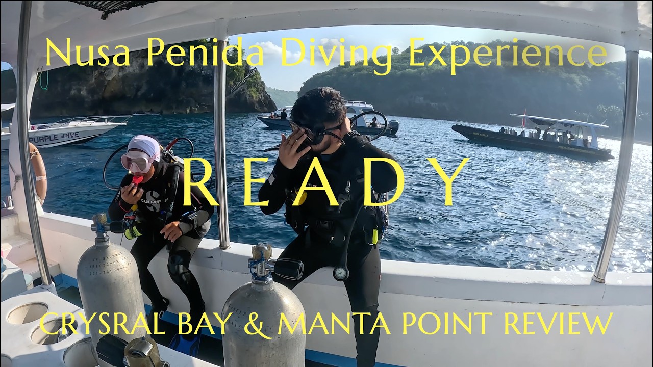 Дайвинг на Нуса-Пениде в 2026 году | Обзор и стоимость мест Manta Point и Crystal Bay