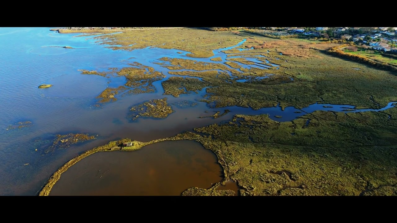 La beaut&eacute; sauvage du Bassin d'Arcachon (Gujan-Mestras)