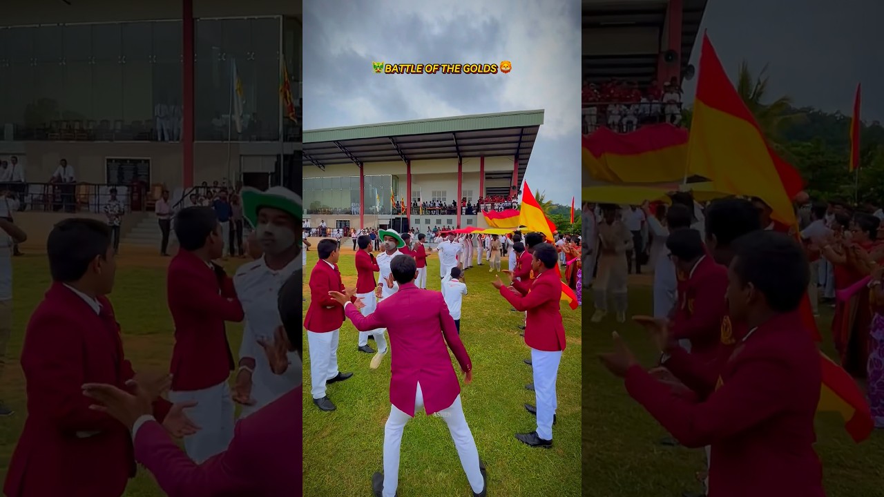 42nd battle of the golds kegalle ❤️💛💙 #bigmatch #kegalle #stmaryscollegekegalle #trending #viral