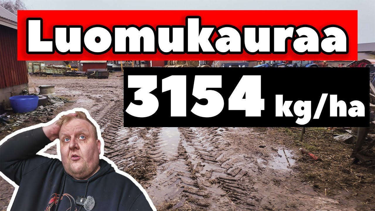 Paras sato ikinä