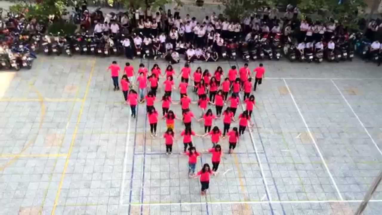 Flashmob 11D1 THPT Gia Định [2013-2016] -Quán Quân Mùa 4
