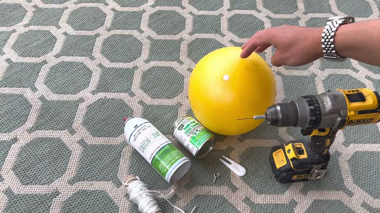 Homemade bug ball DIY fly trap
