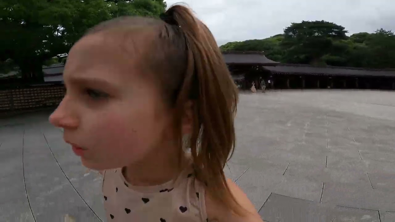 Japan Part 1 2024