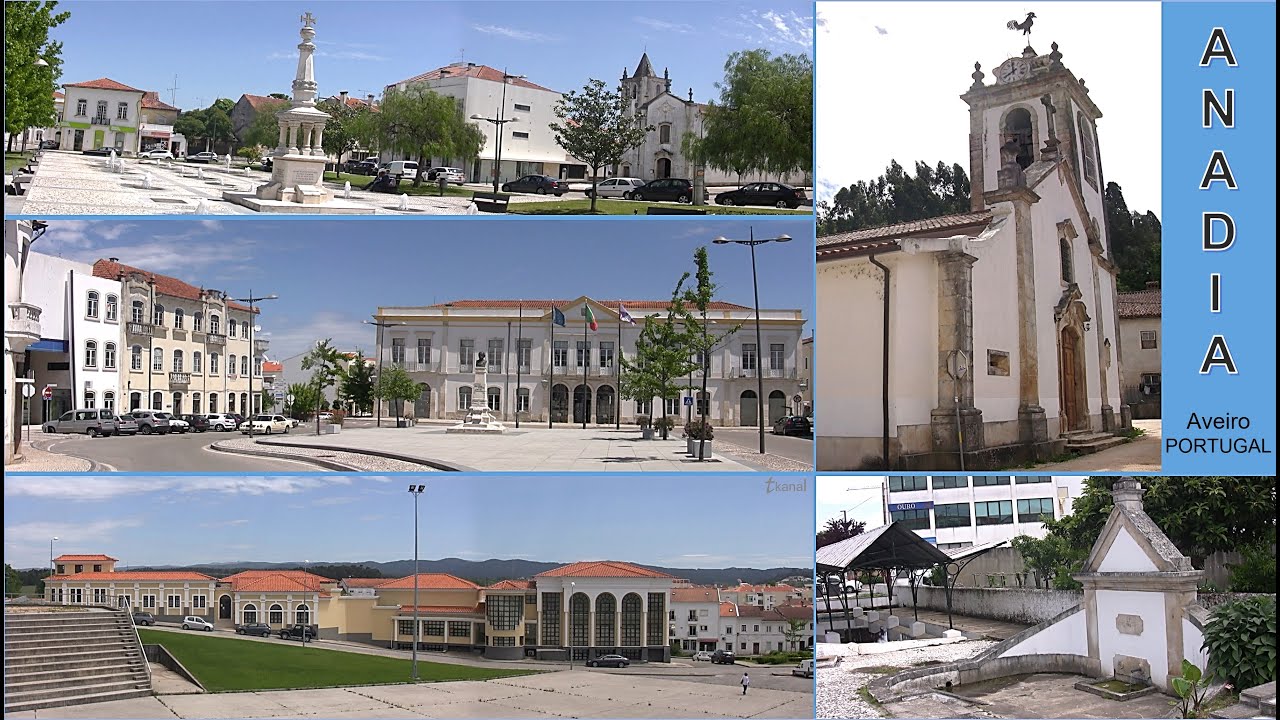 ANADIA, Aveiro, Portugal