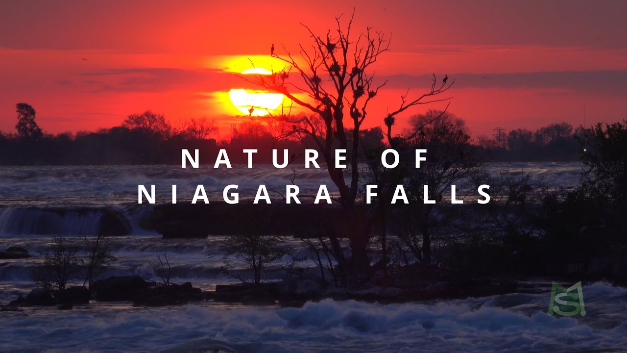 Nature of Niagara Falls - Flora and fauna sounds & music.