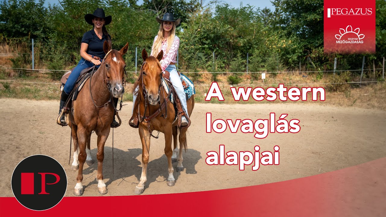 Mi az alapvető különbség az angol és a western lovaglás között? | Pegazus Online Magazin