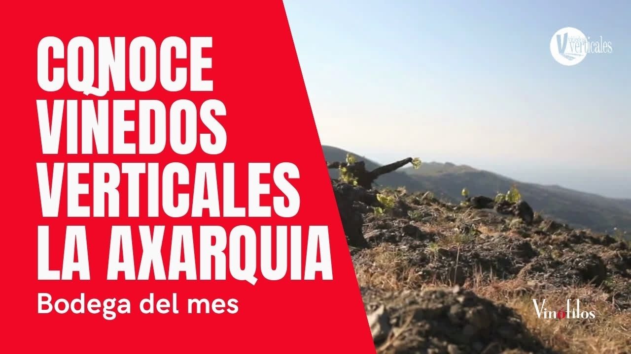 Viñedos Verticales, un proyecto en La Axarquía (Málaga)