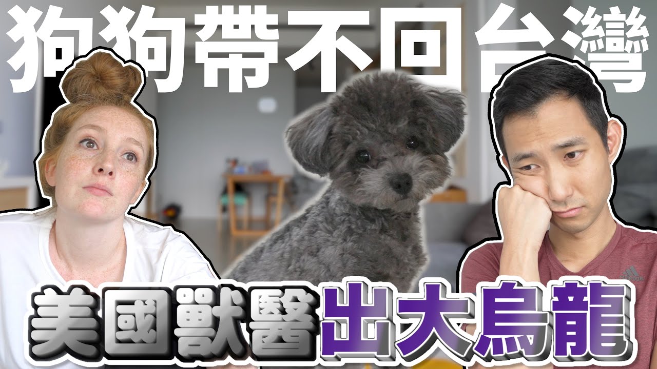 狗狗沒辦法帶回台灣老婆超不爽!! 美國獸醫出大烏龍!!【劉沛 VLOG】