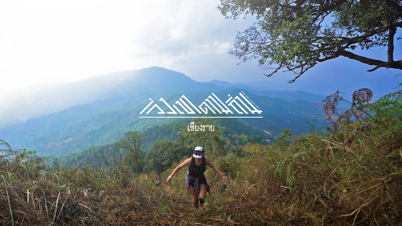 ตามกลิ่นไป...ถิ่นปลูกชาที่เก่าแก่ที่สุดในไทย