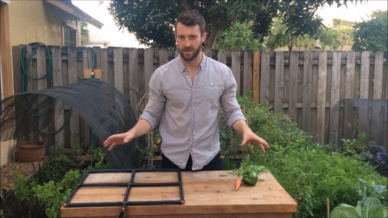 Plant Spacing in a Raised Garden Bed. How to Do it Right! - Easy Growing Episode #11
