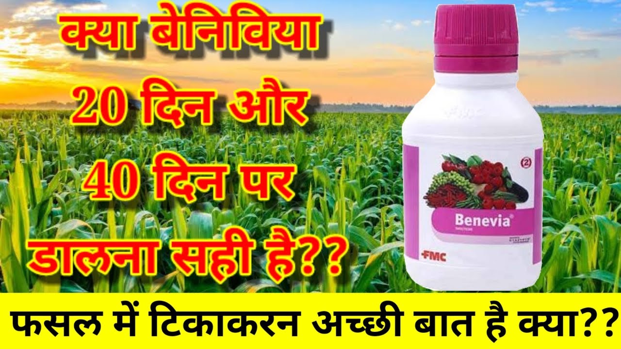 Benevia chemical/fmc benevia insecticide/benevia fmc