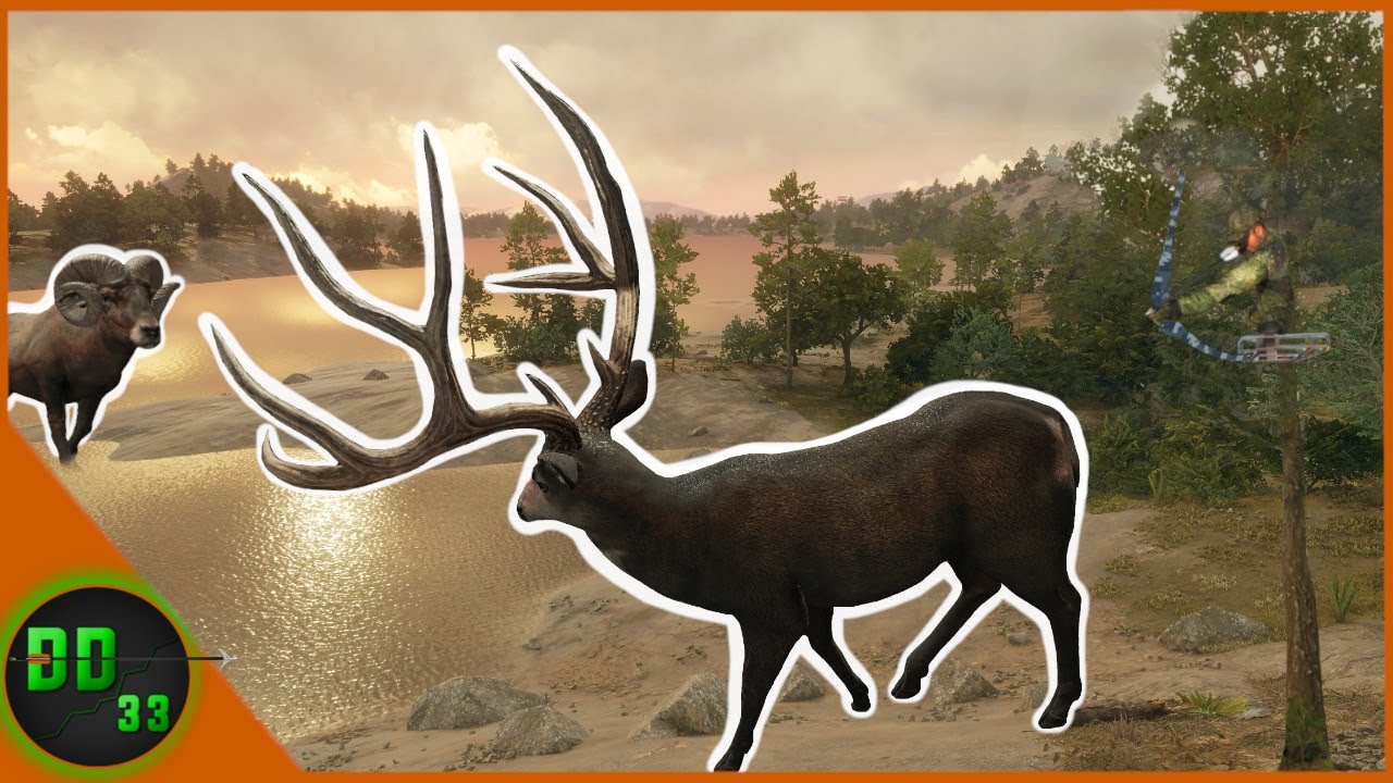 The Most Perfect TREE STAND Hunt In The Mexican Desert! Call Of The Wild