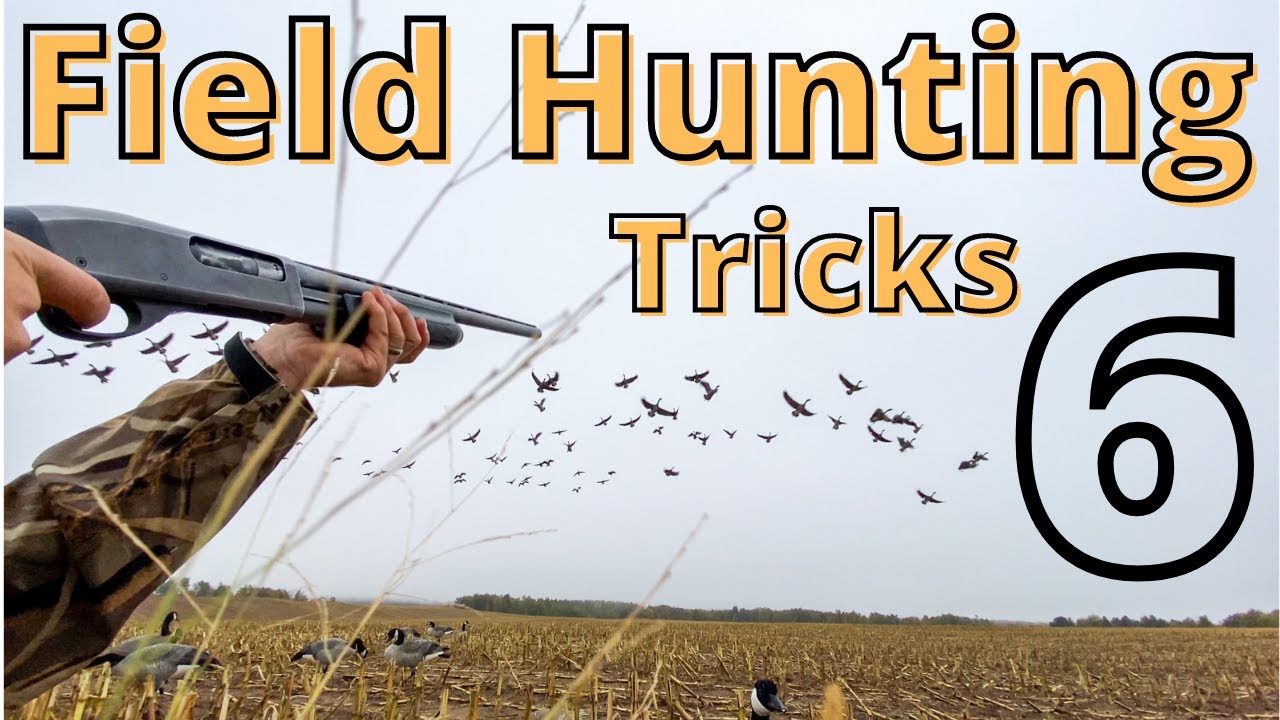6 Ways to Fool More Geese Next Time You Set Up A Decoy Spread (#6 is a MUST!)