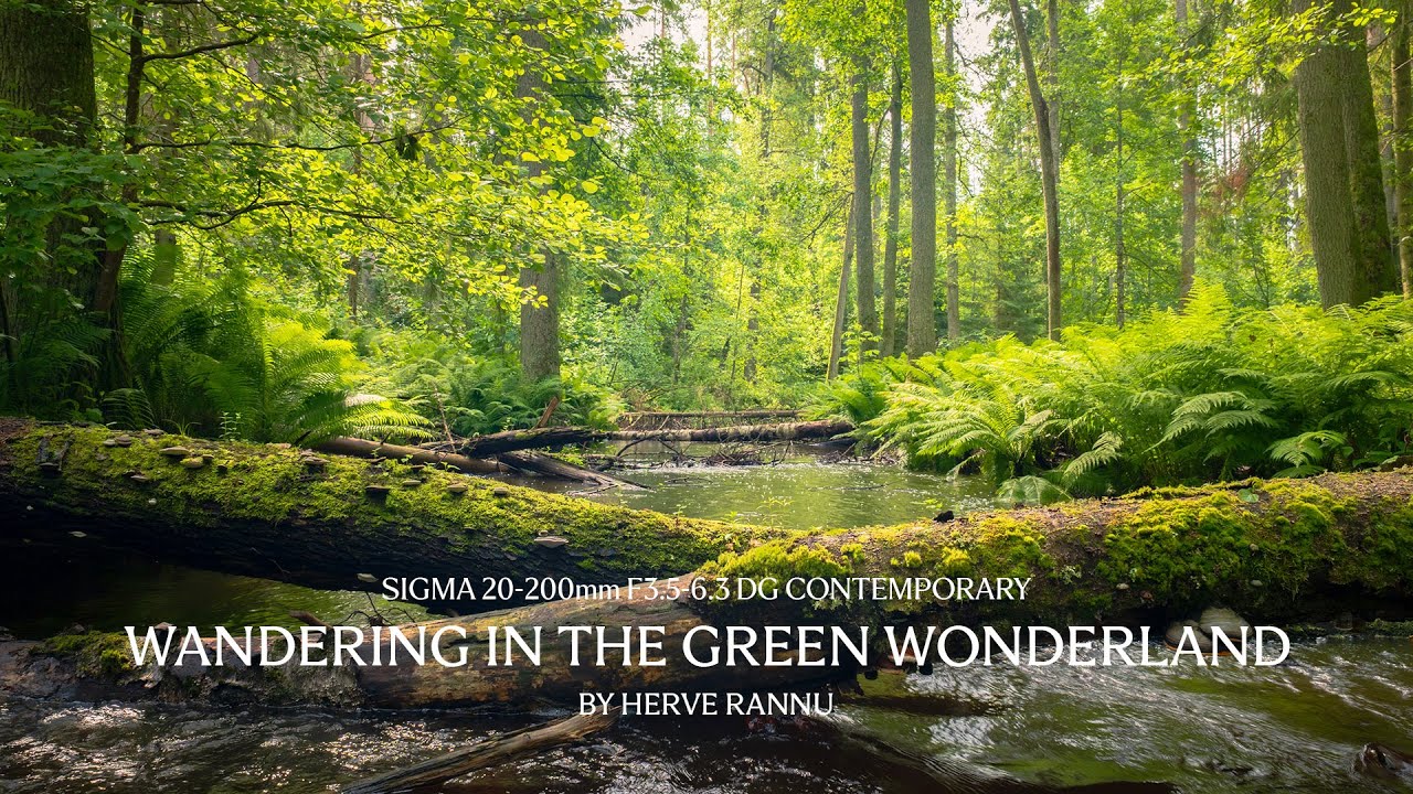 Wandering in the green wonderland with the 20-200mm F3.5-6.3 DG Contemporary - by Herve Rannu