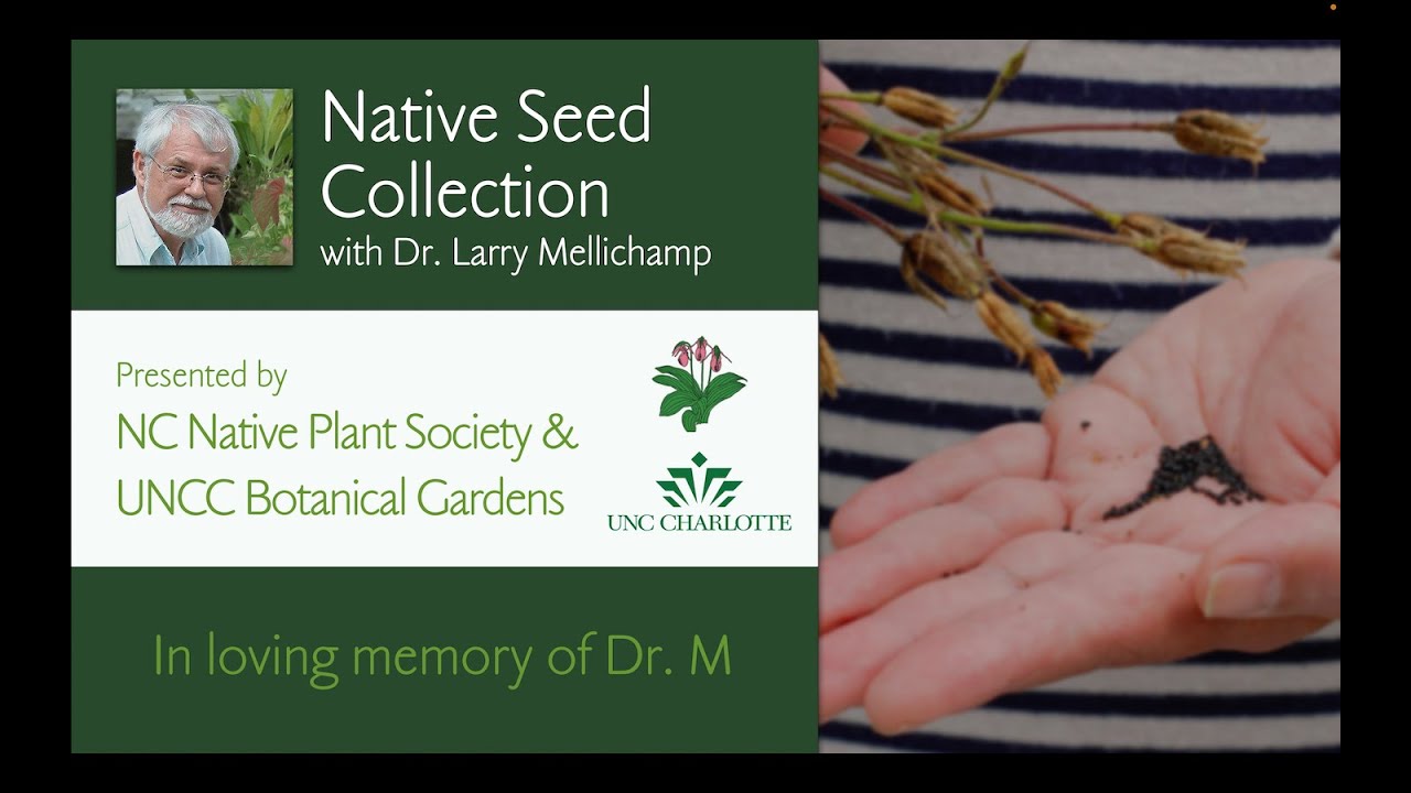 Collect, Prepare, and Sow Native Seeds with Dr. Larry Mellichamp