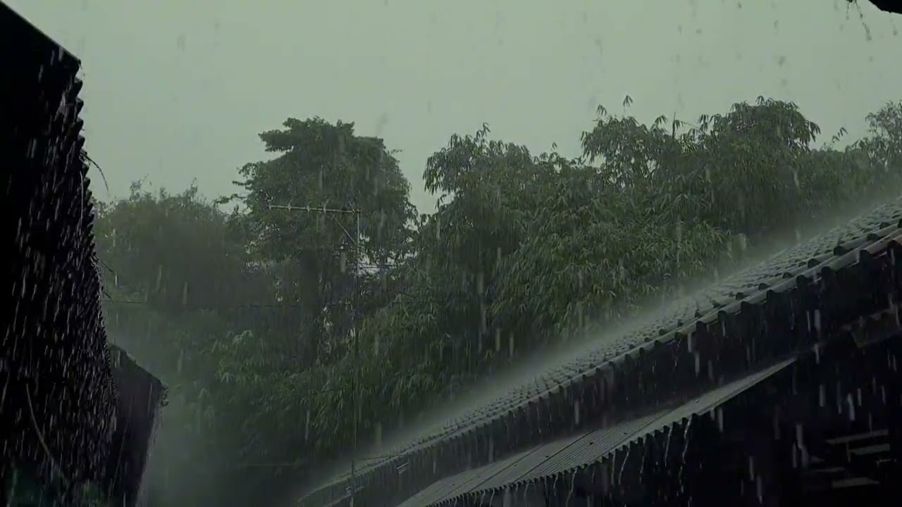 Heavy Rain on Tin Roof – Ultimate Relaxation & Deep Sleep (1 Hour ASMR)