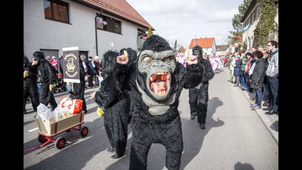 Dischinger Faschingsumzug 2019