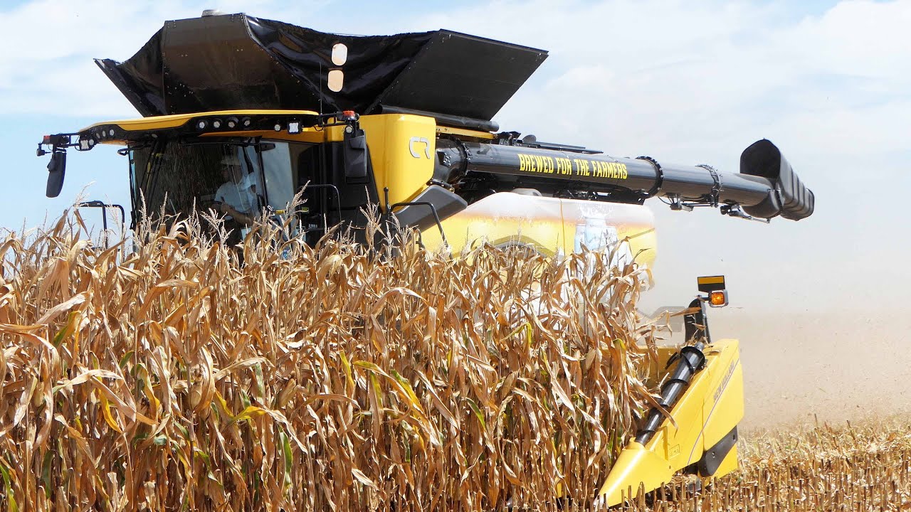 Corn Harvest Field Demo at Farm Progress Show 2025 - All Combines Harvesting Corn