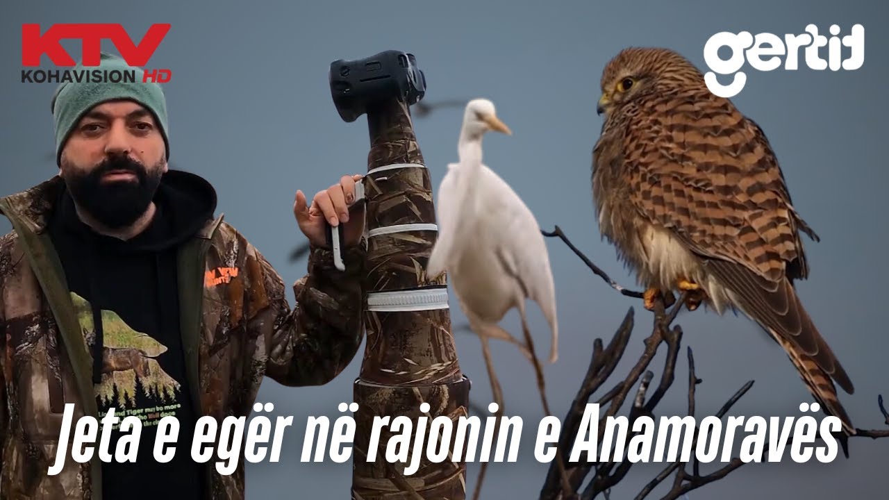 Jeta e egër në rajonin e Anamoravës | Wildlife me Arian Mavriqin | 21.02.2025 | KTV