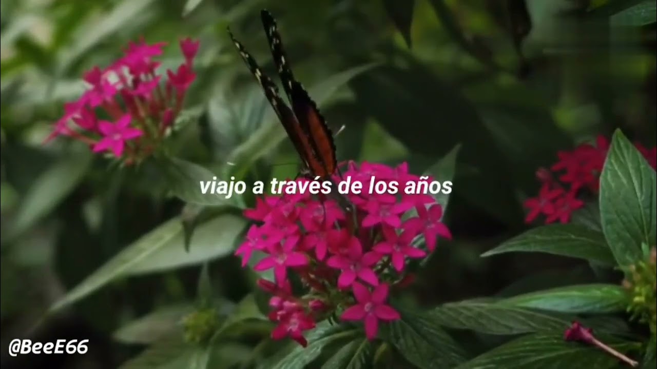 Metamorfoseis - Matina Sous Peau || Sub. Español ||