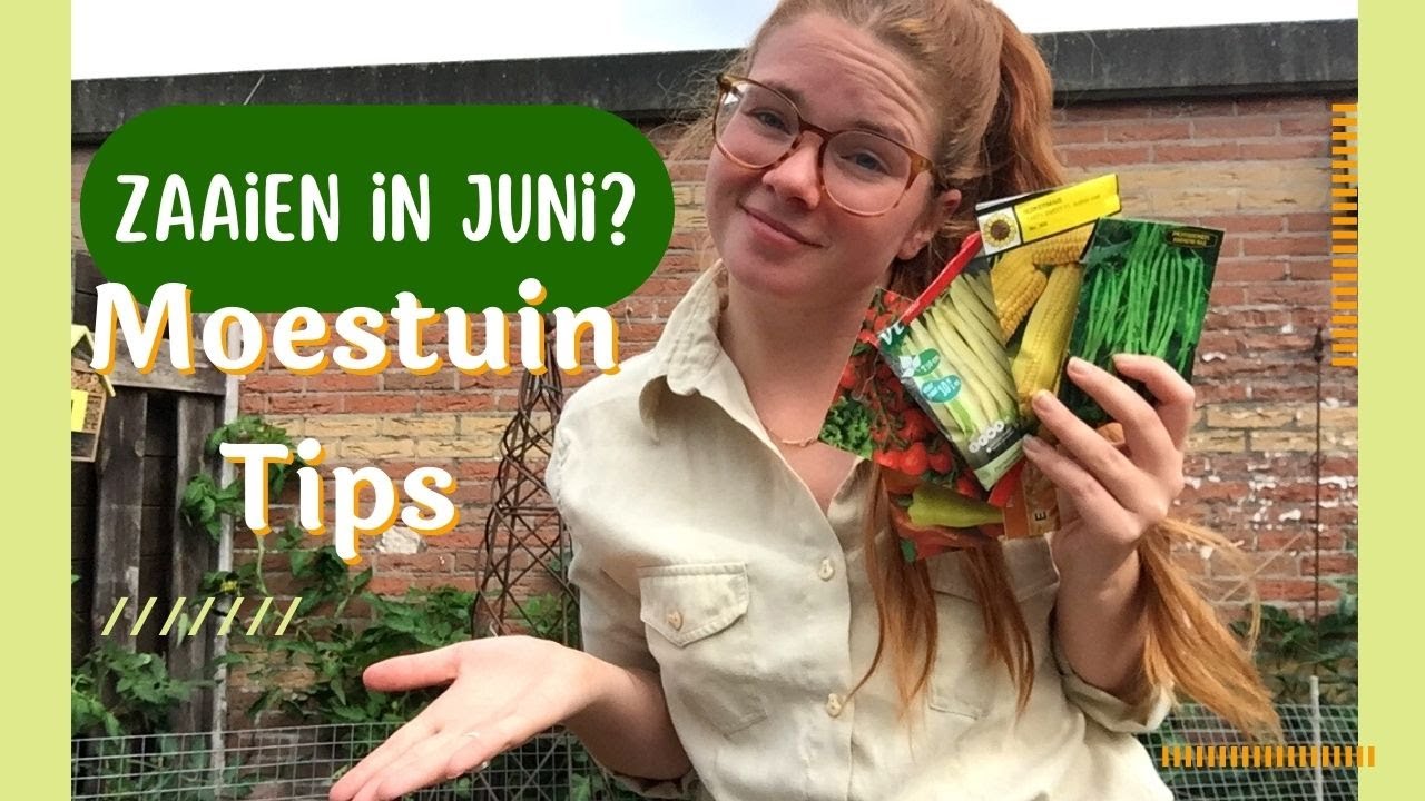 Wat kan je nog ZAAIEN IN JUNI? | Moestuin Tips | Groenten tuin